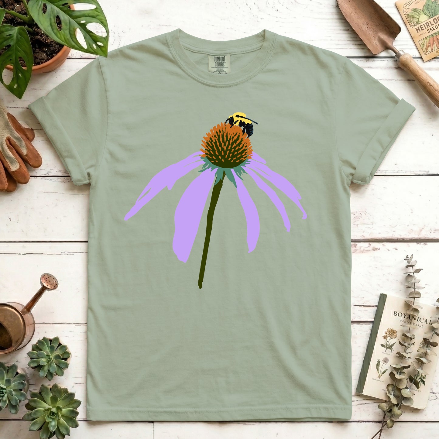 Coneflower