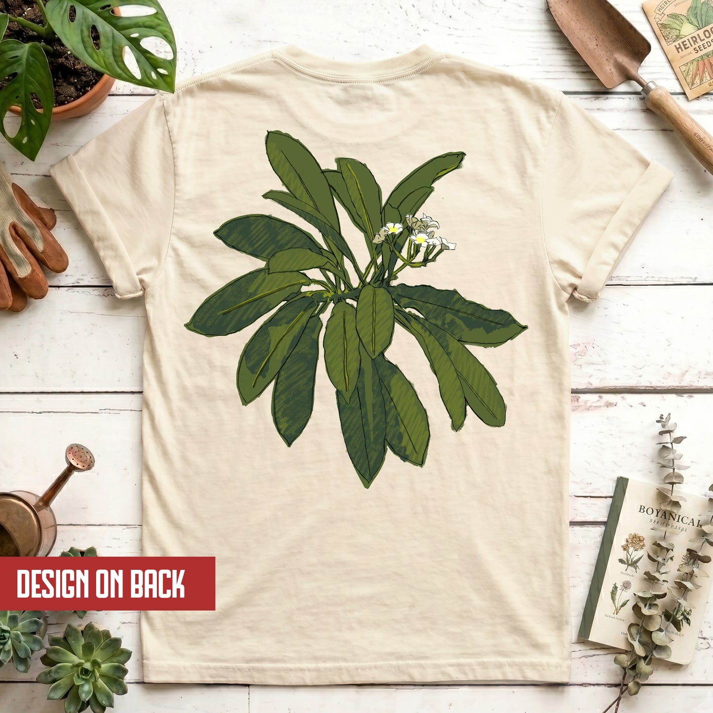 Euphorbia