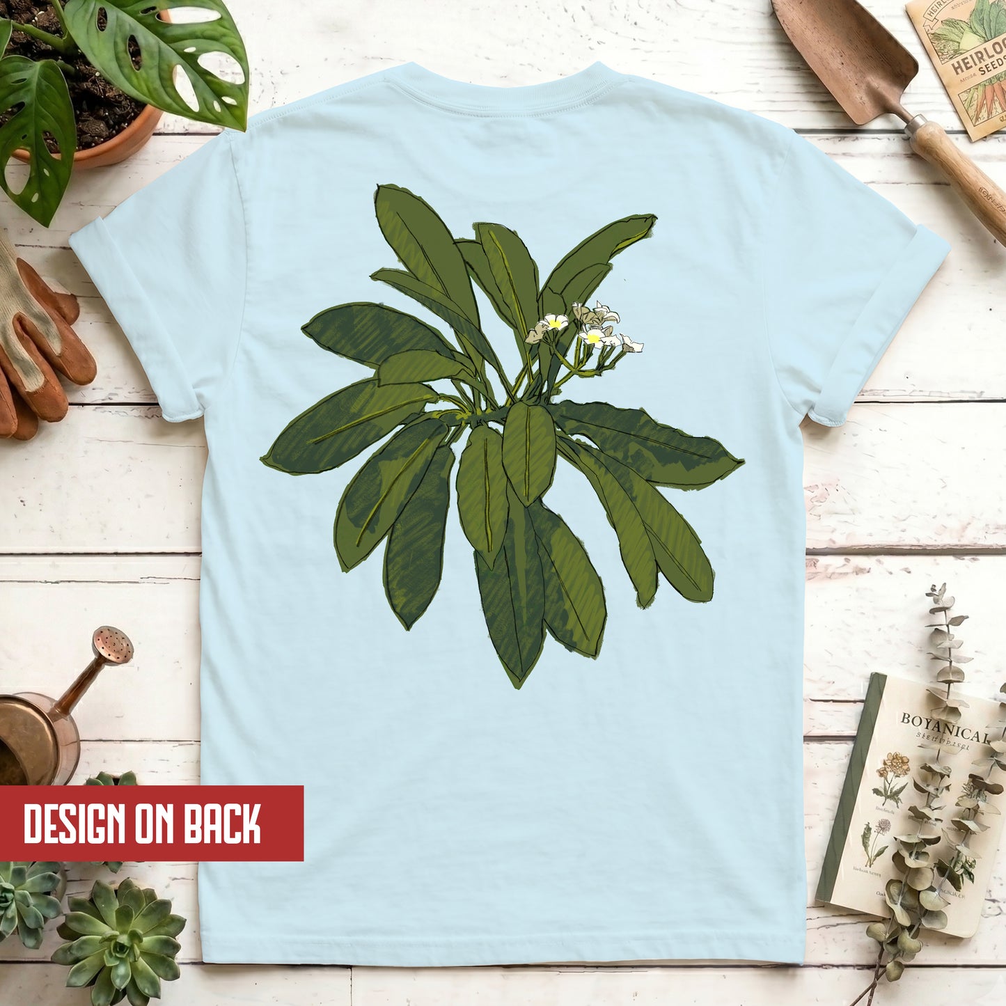 Euphorbia