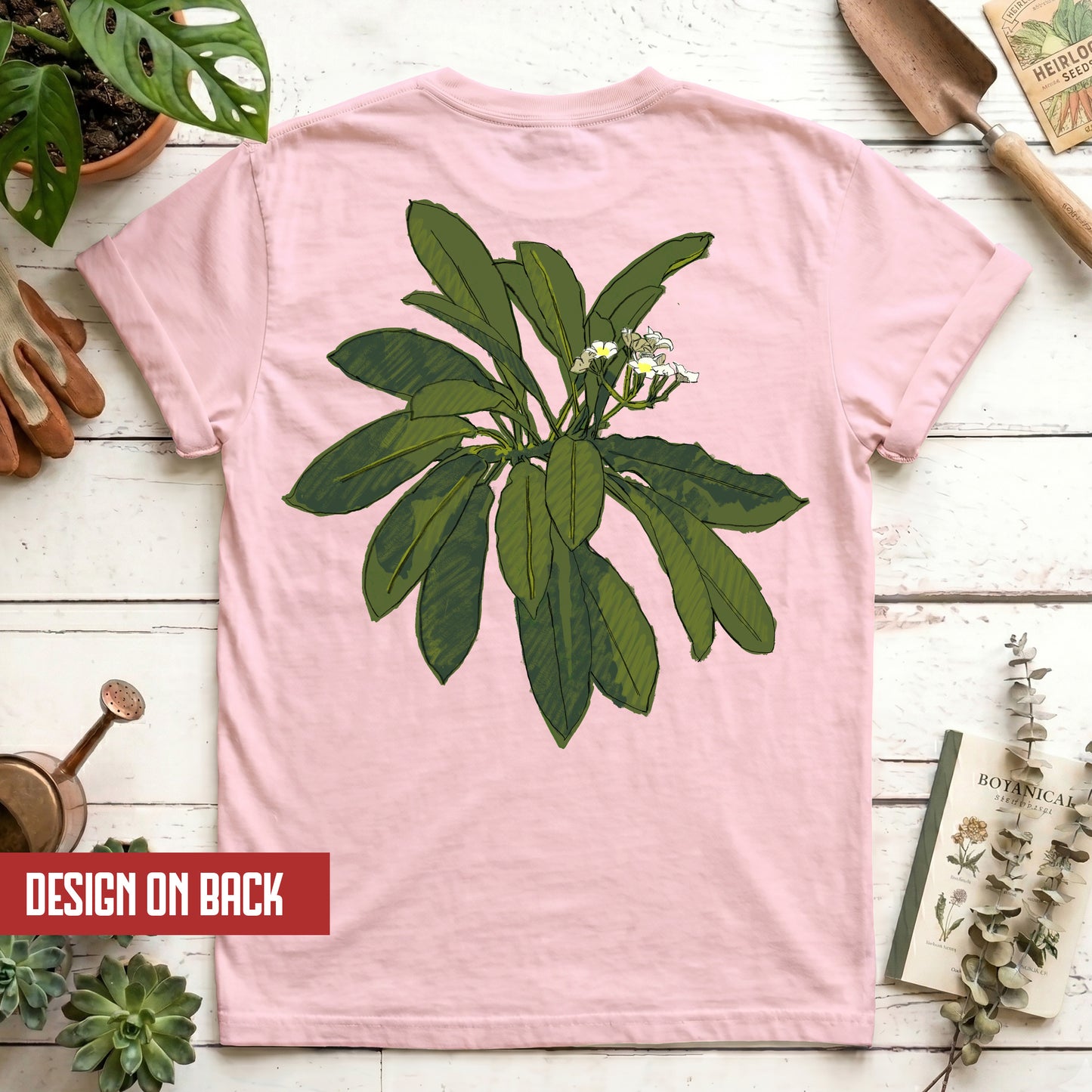 Euphorbia