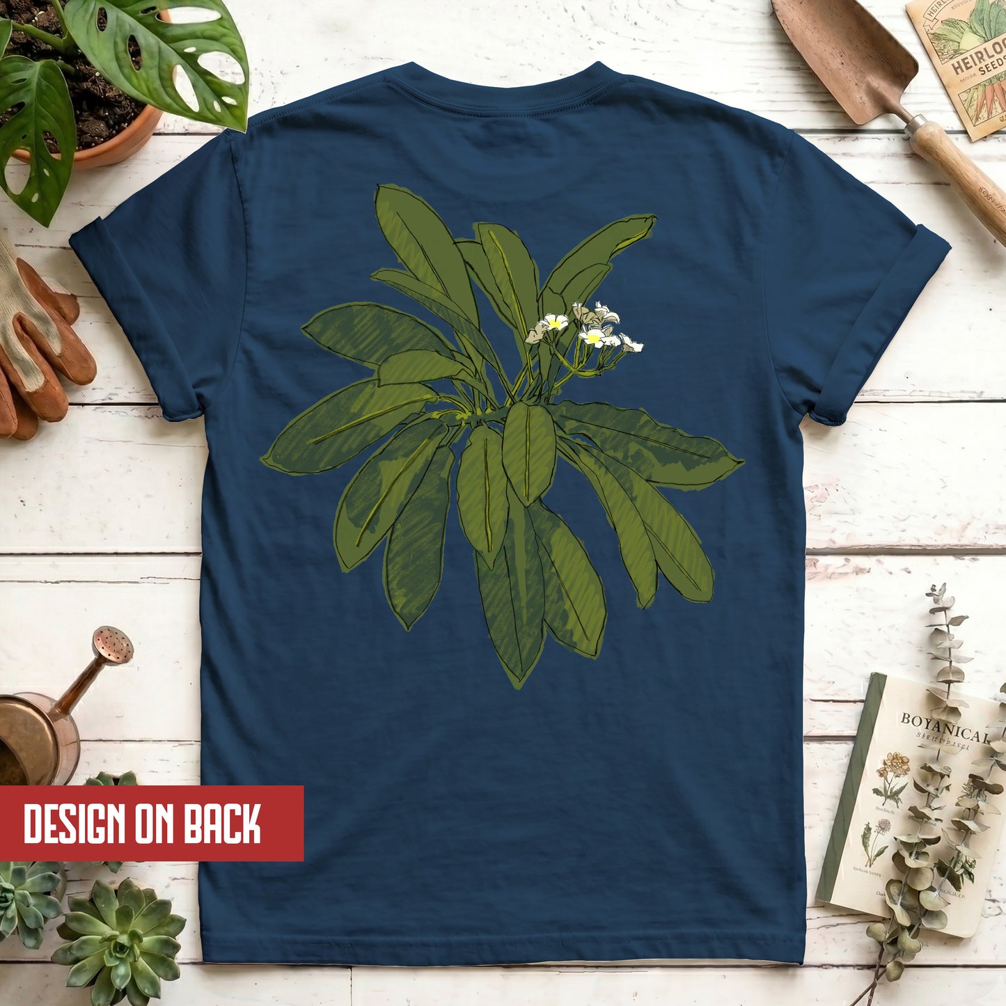 Euphorbia
