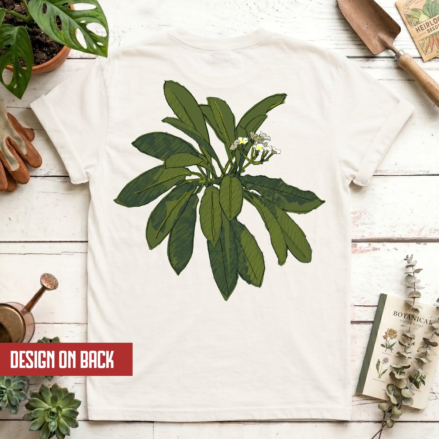 Euphorbia