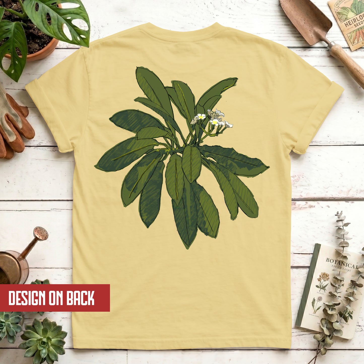 Euphorbia