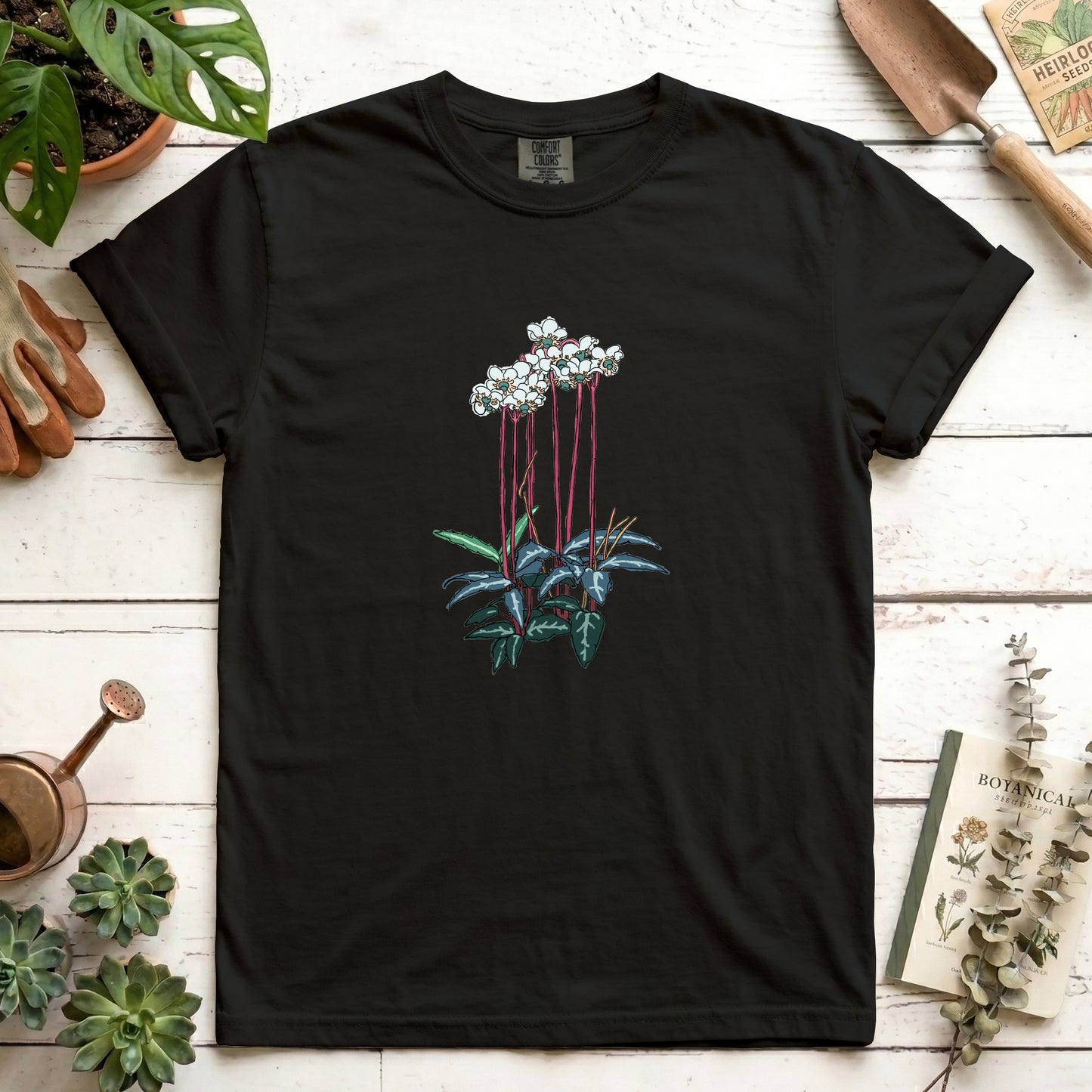 Spotted Wintergreen - Front