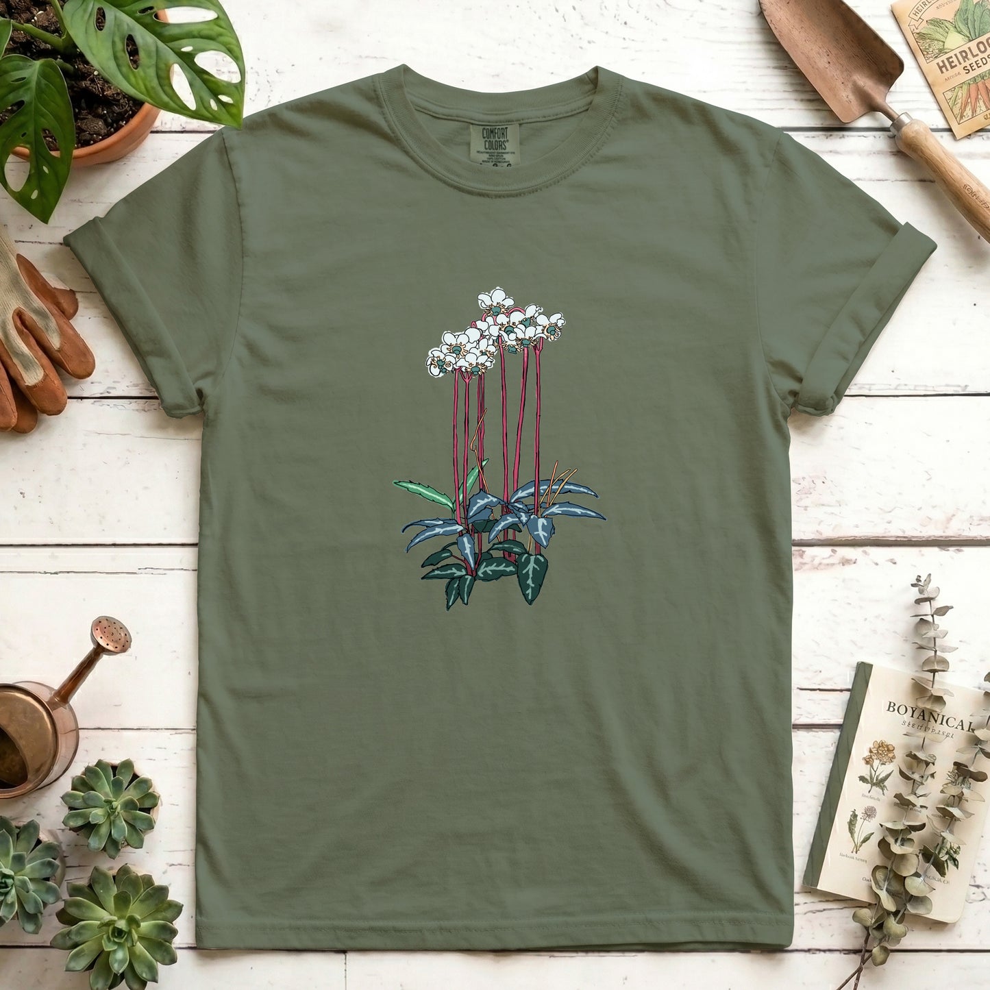 Spotted Wintergreen - Front