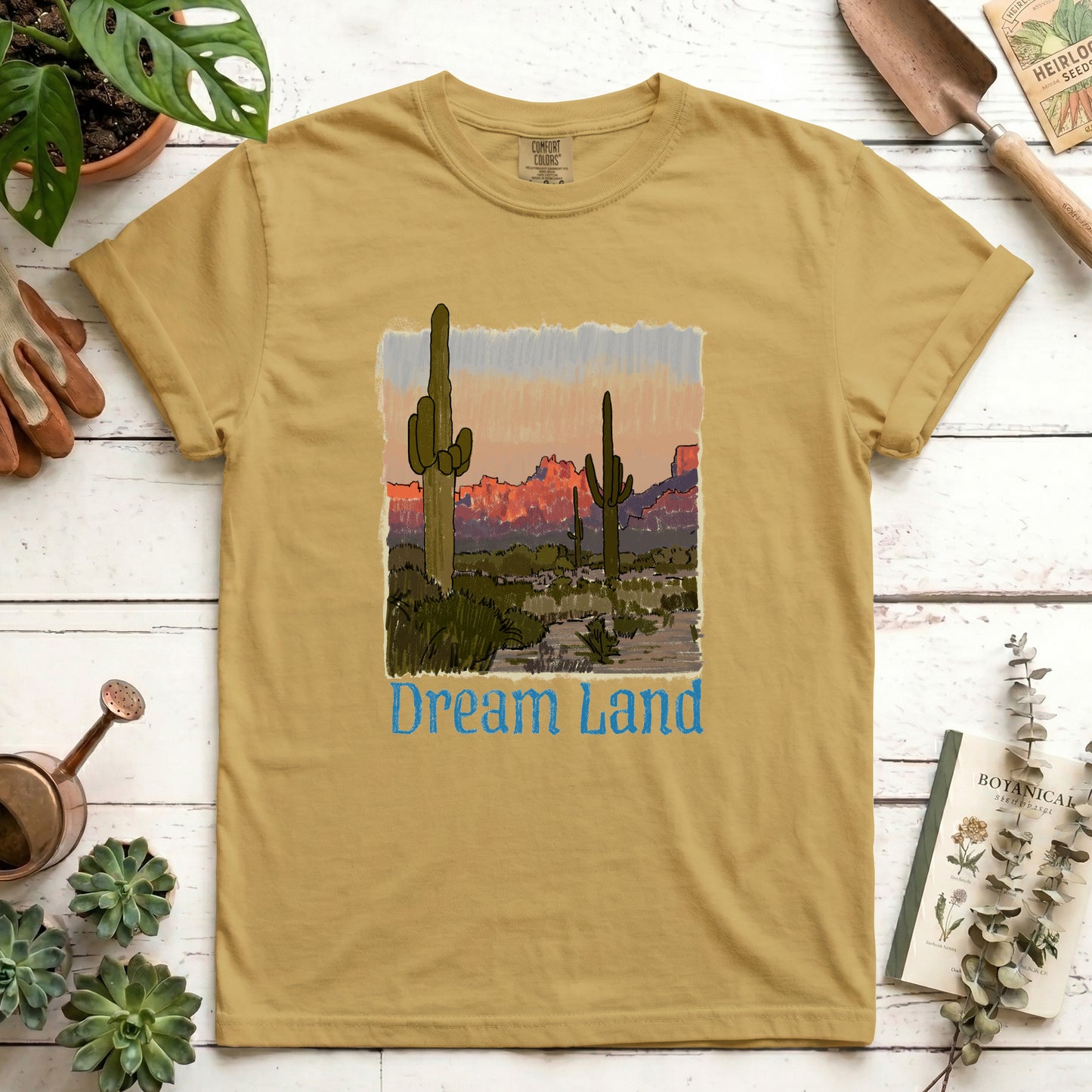 Dream Land - Front