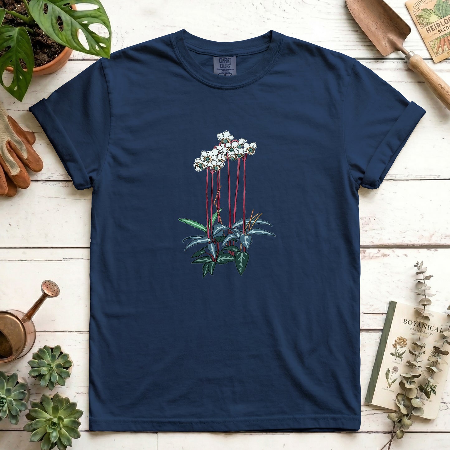 Spotted Wintergreen - Front
