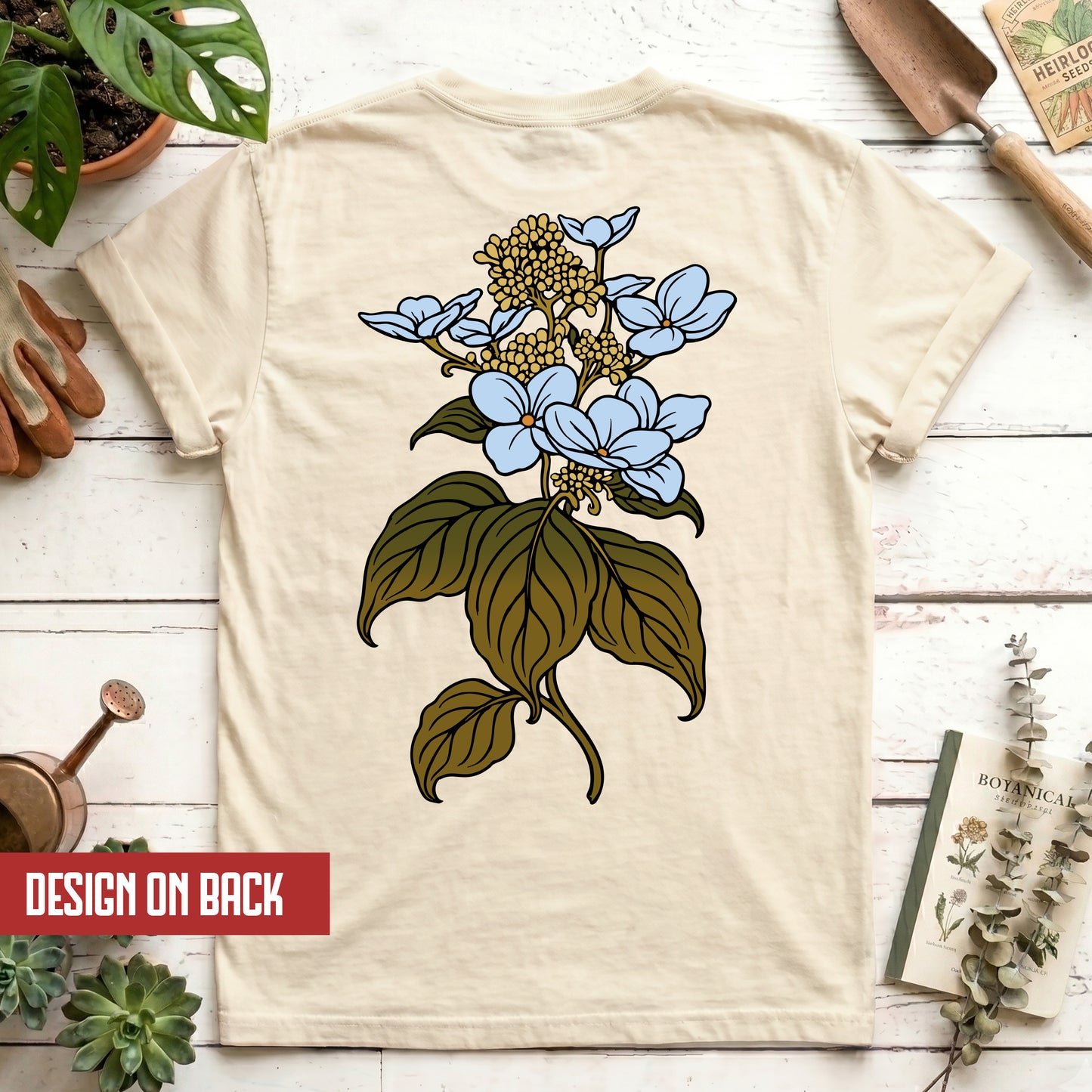 Hydrangea