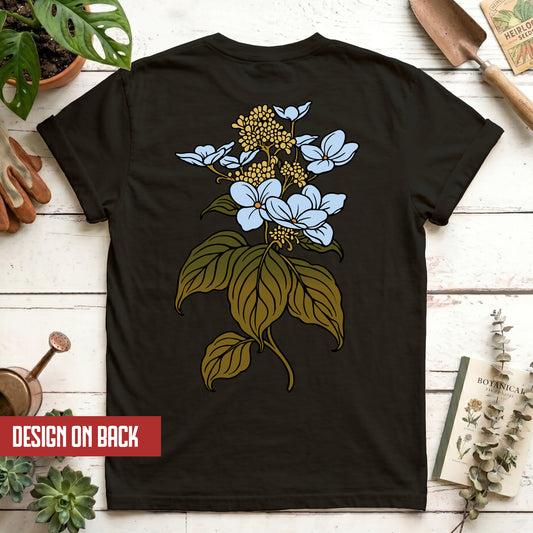 Hydrangea