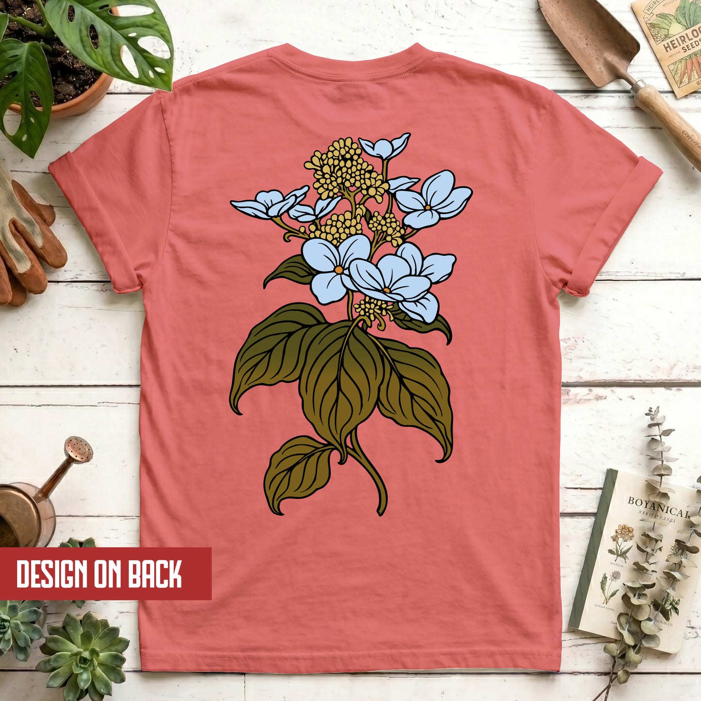 Hydrangea