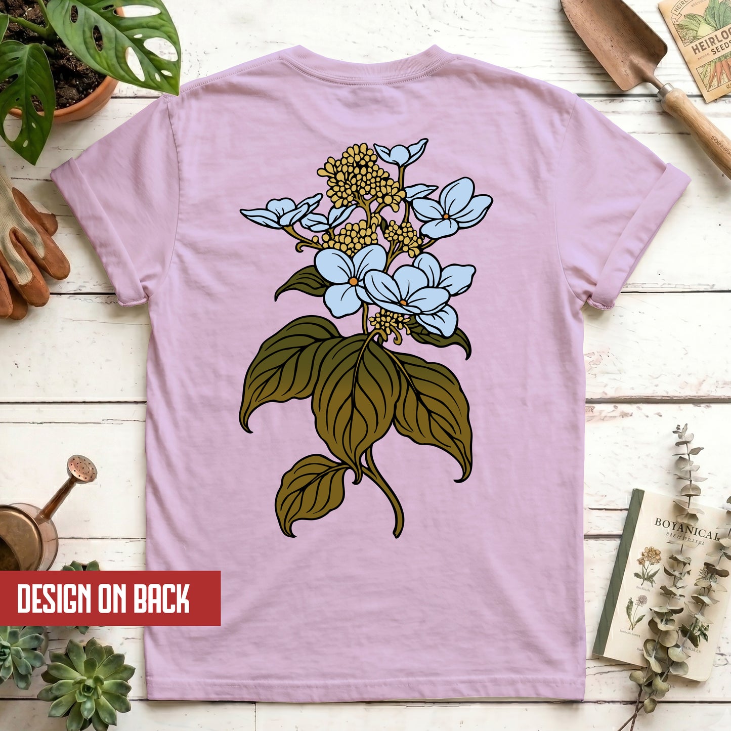 Hydrangea