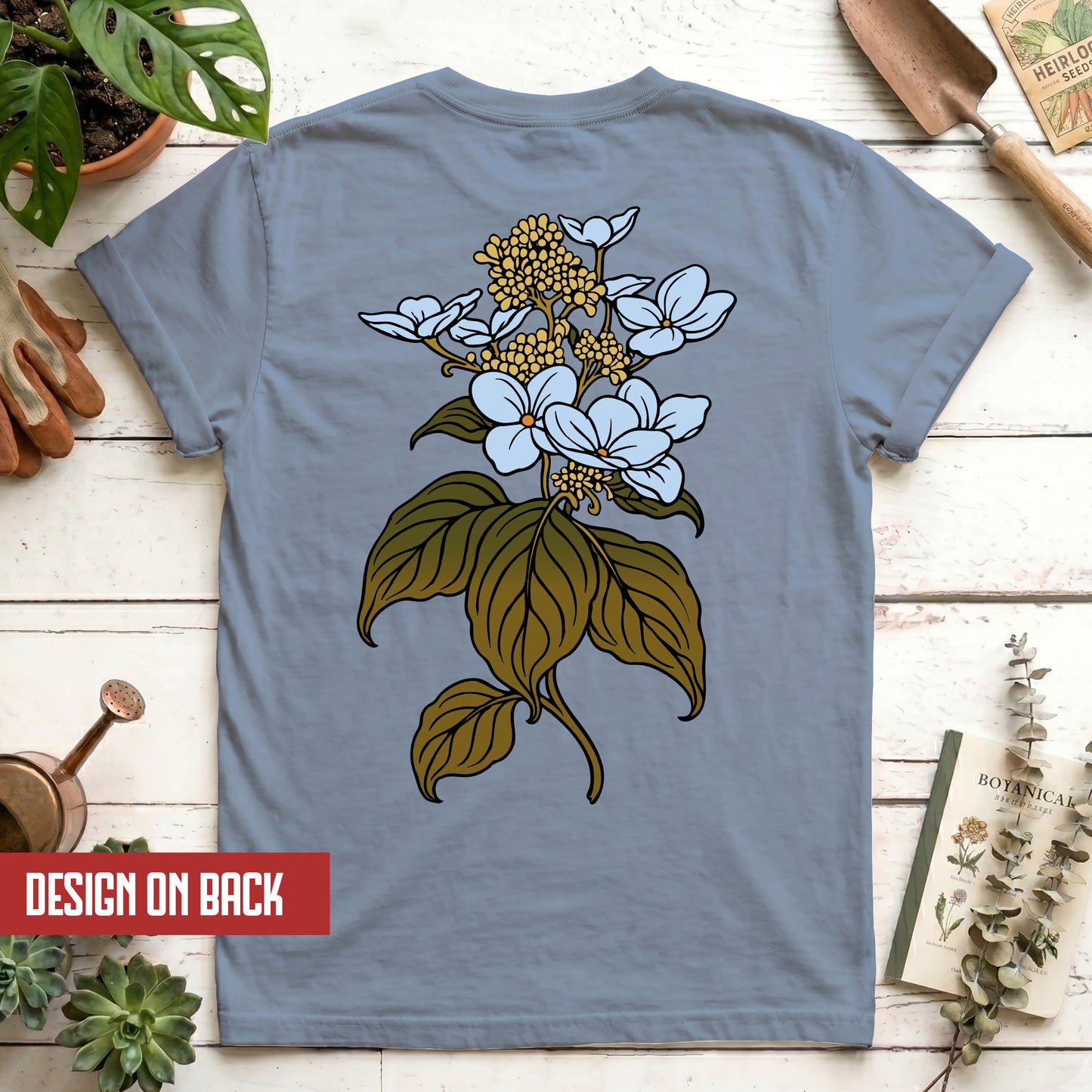 Hydrangea