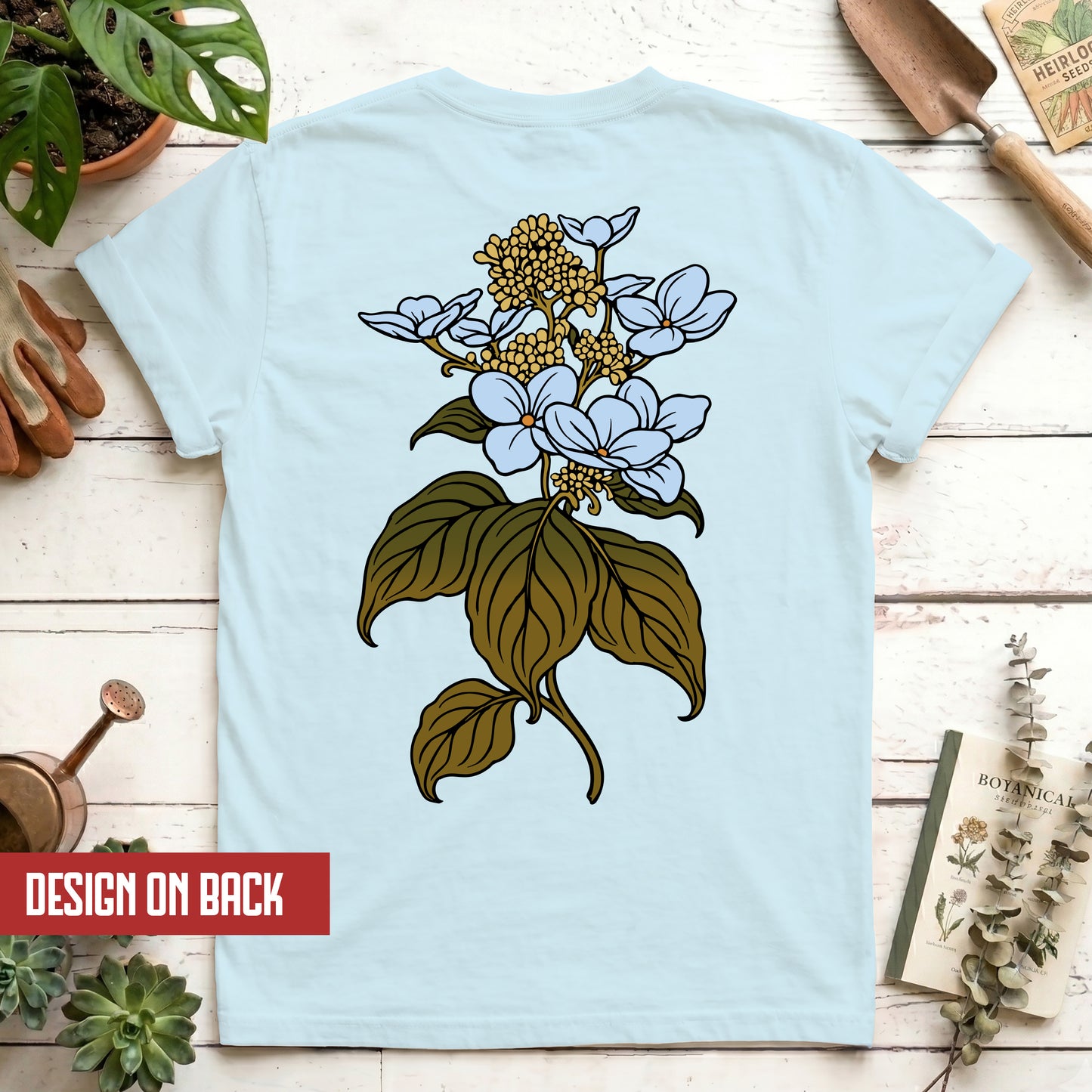 Hydrangea