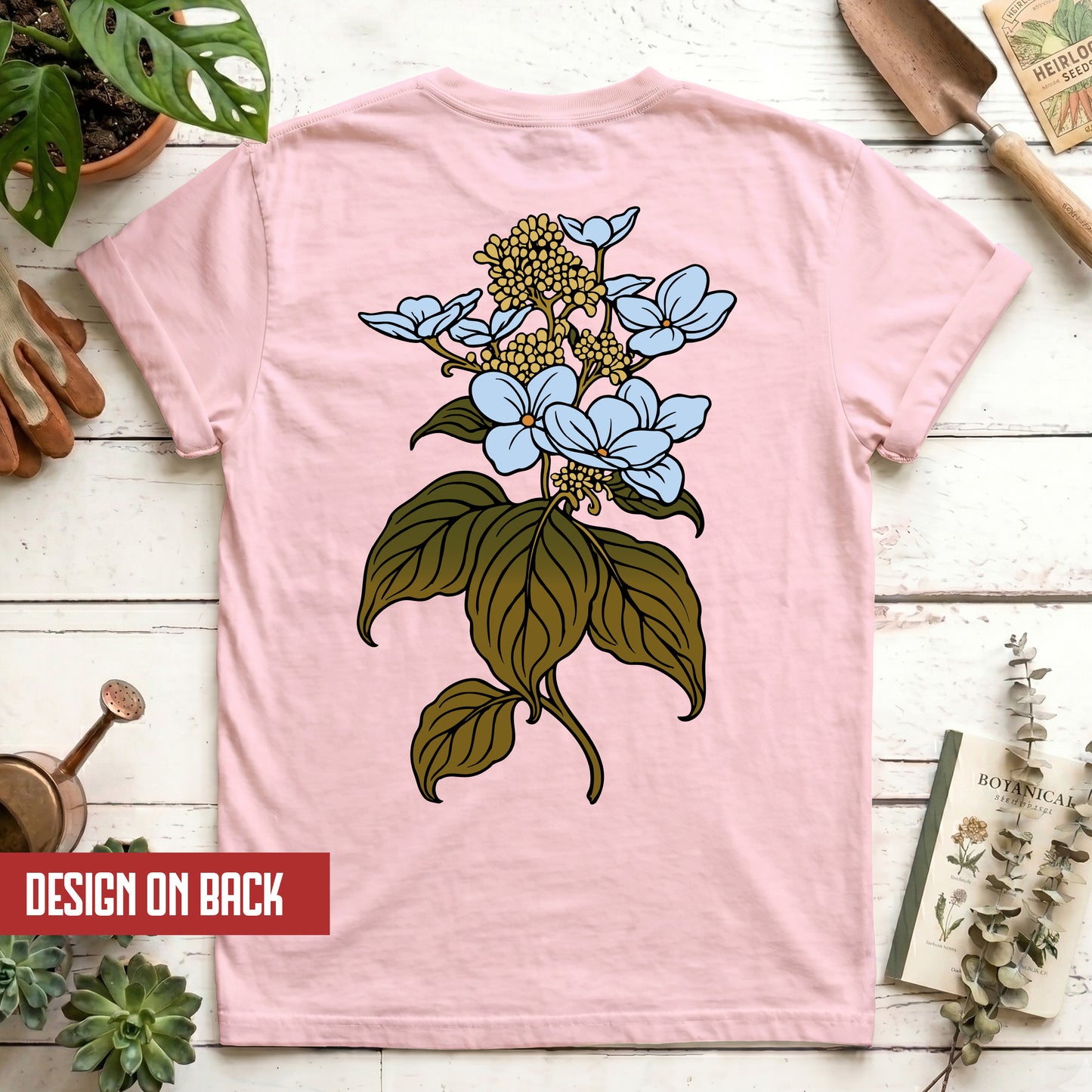 Hydrangea