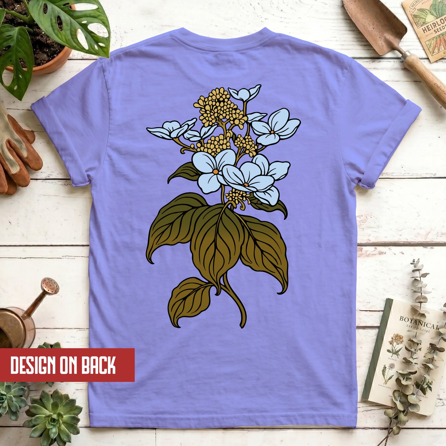 Hydrangea