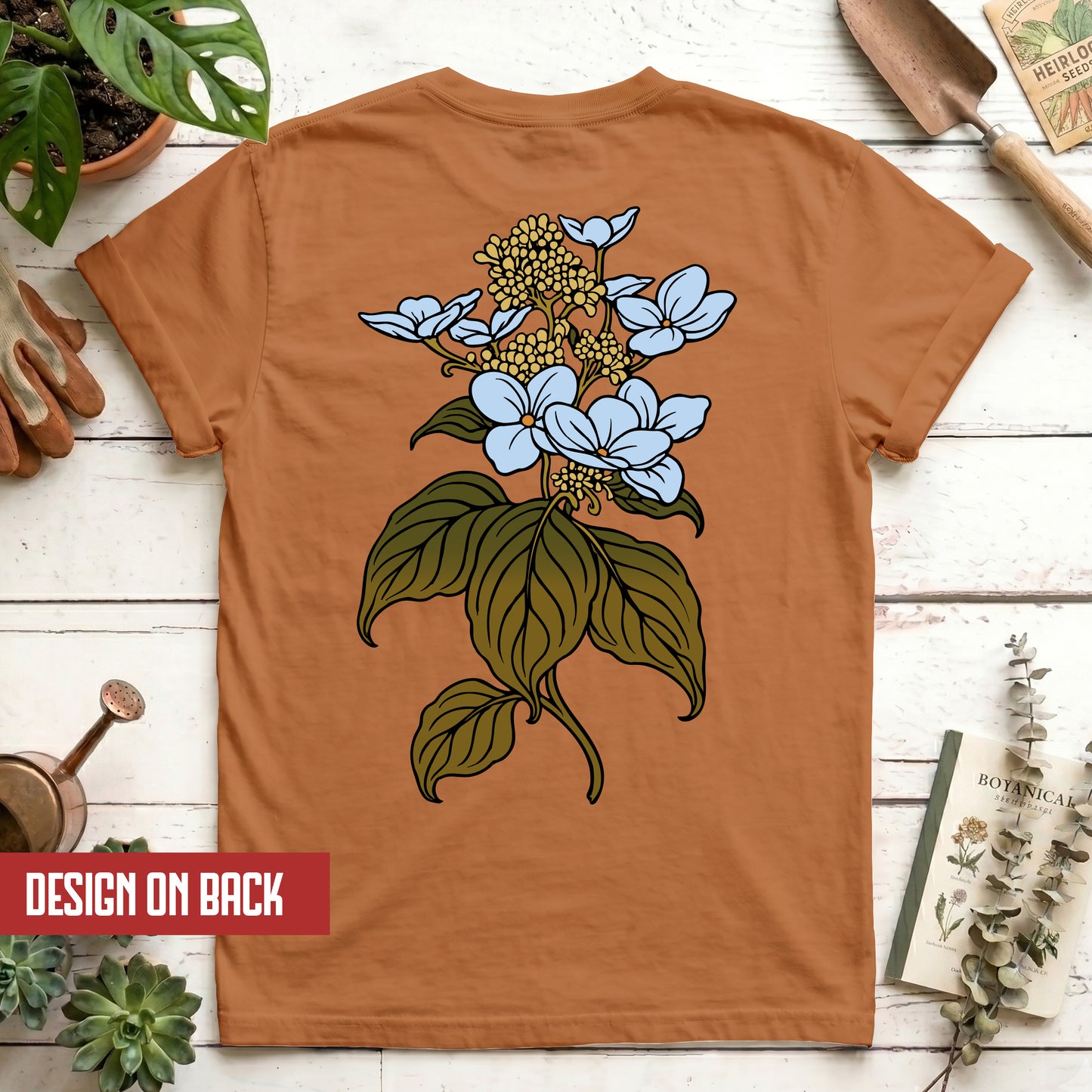 Hydrangea
