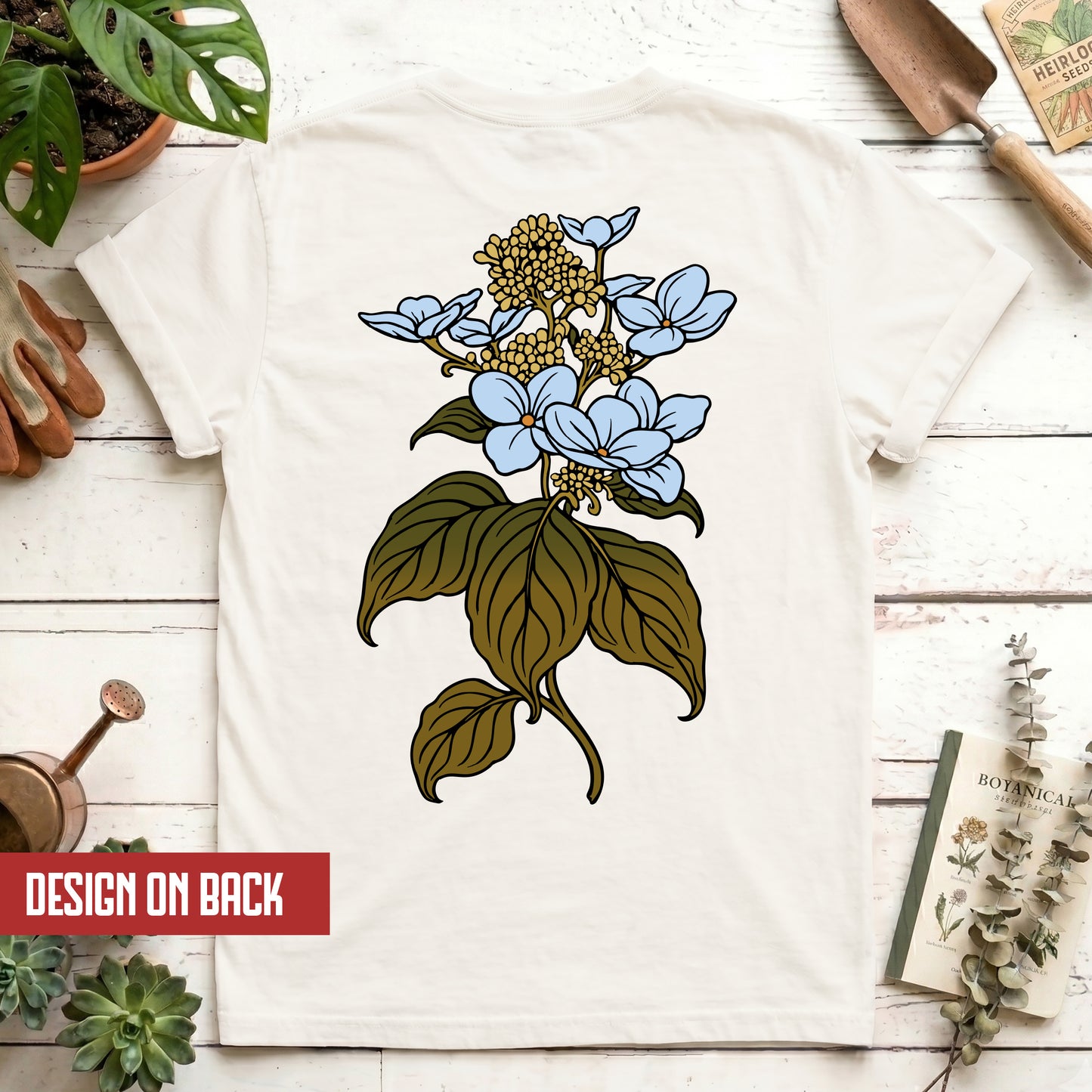 Hydrangea