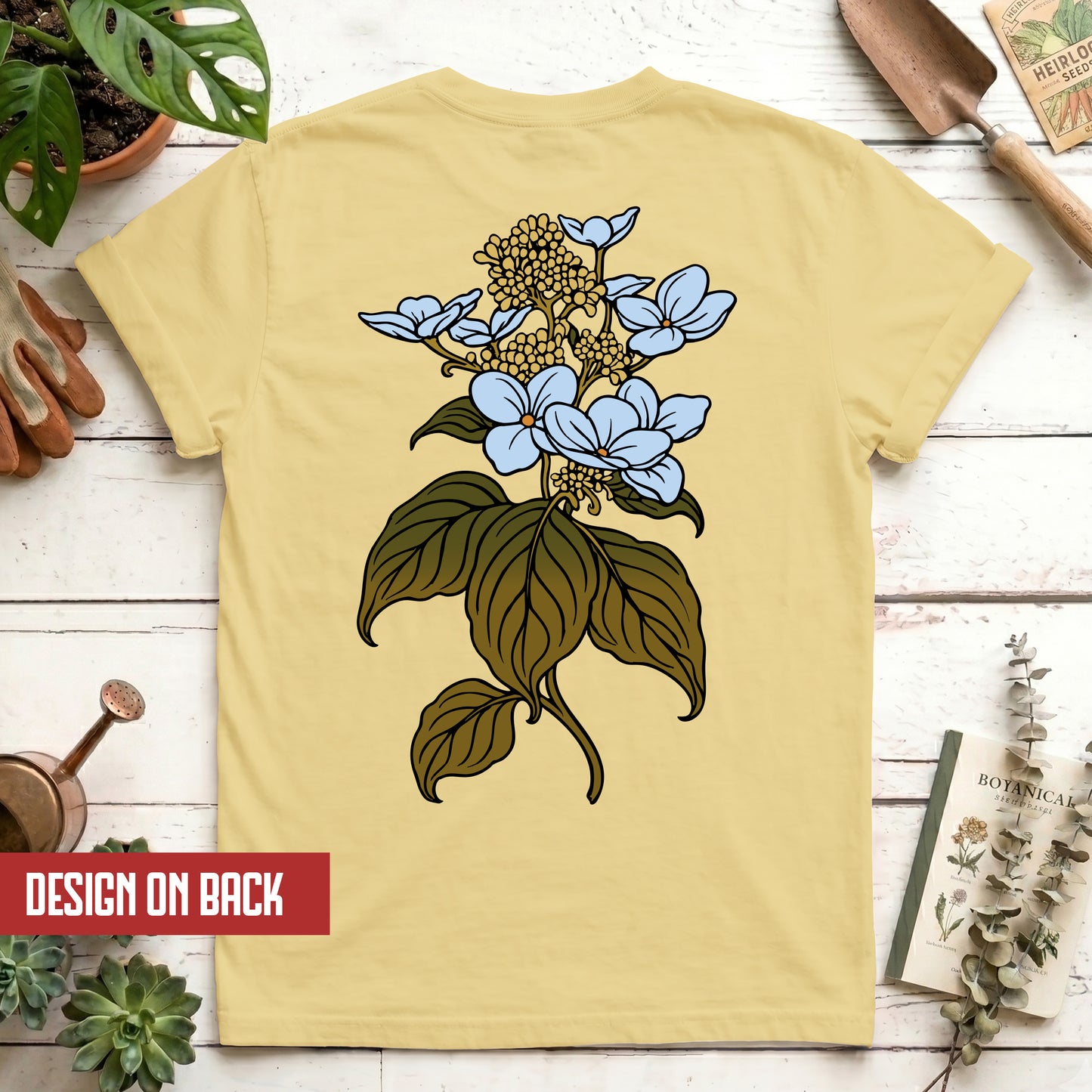 Hydrangea