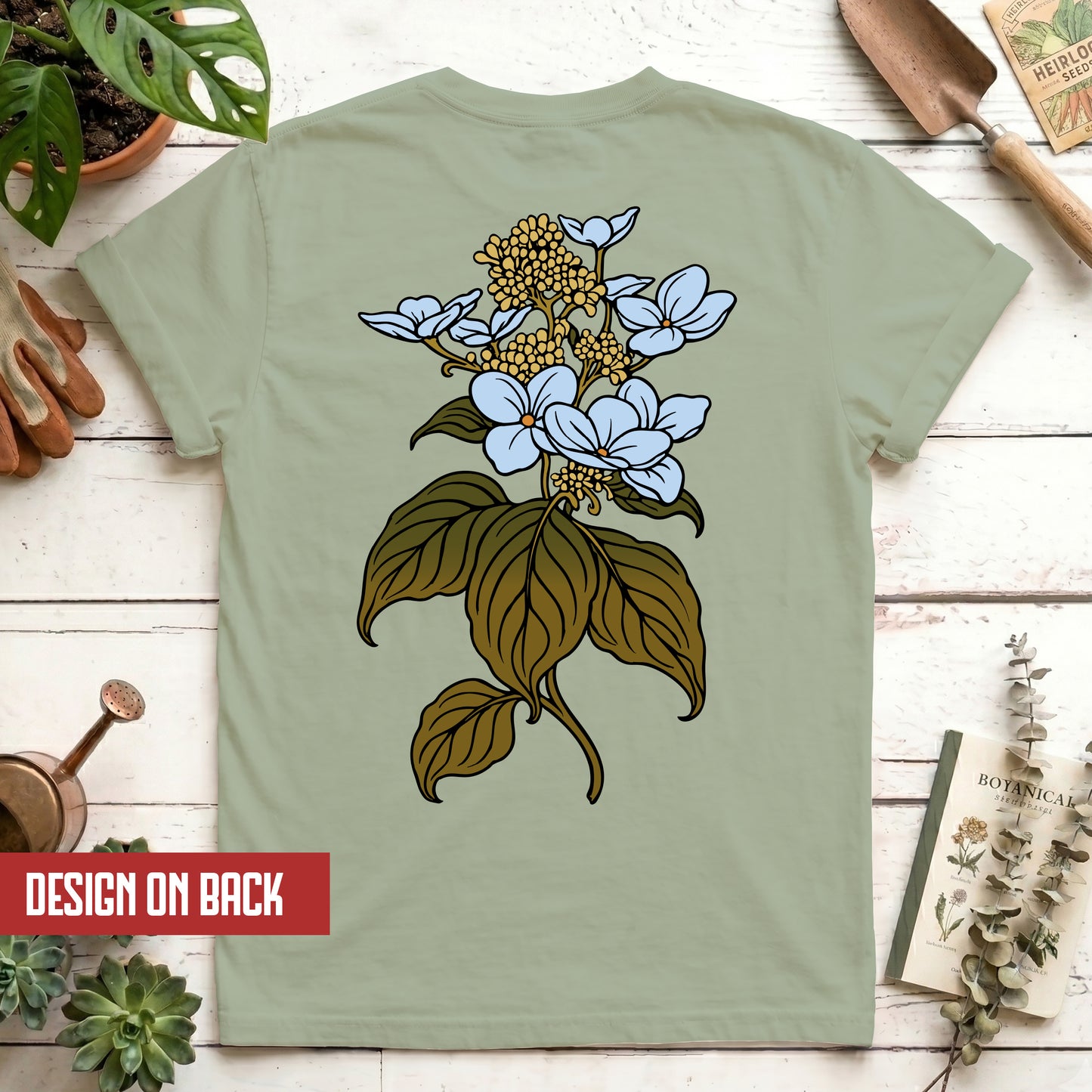 Hydrangea