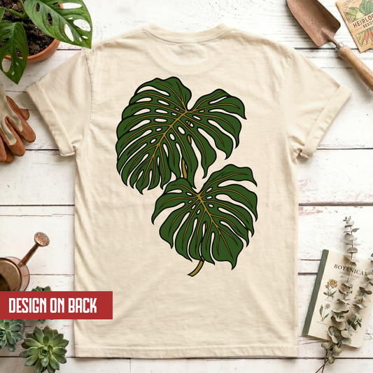 Monstera