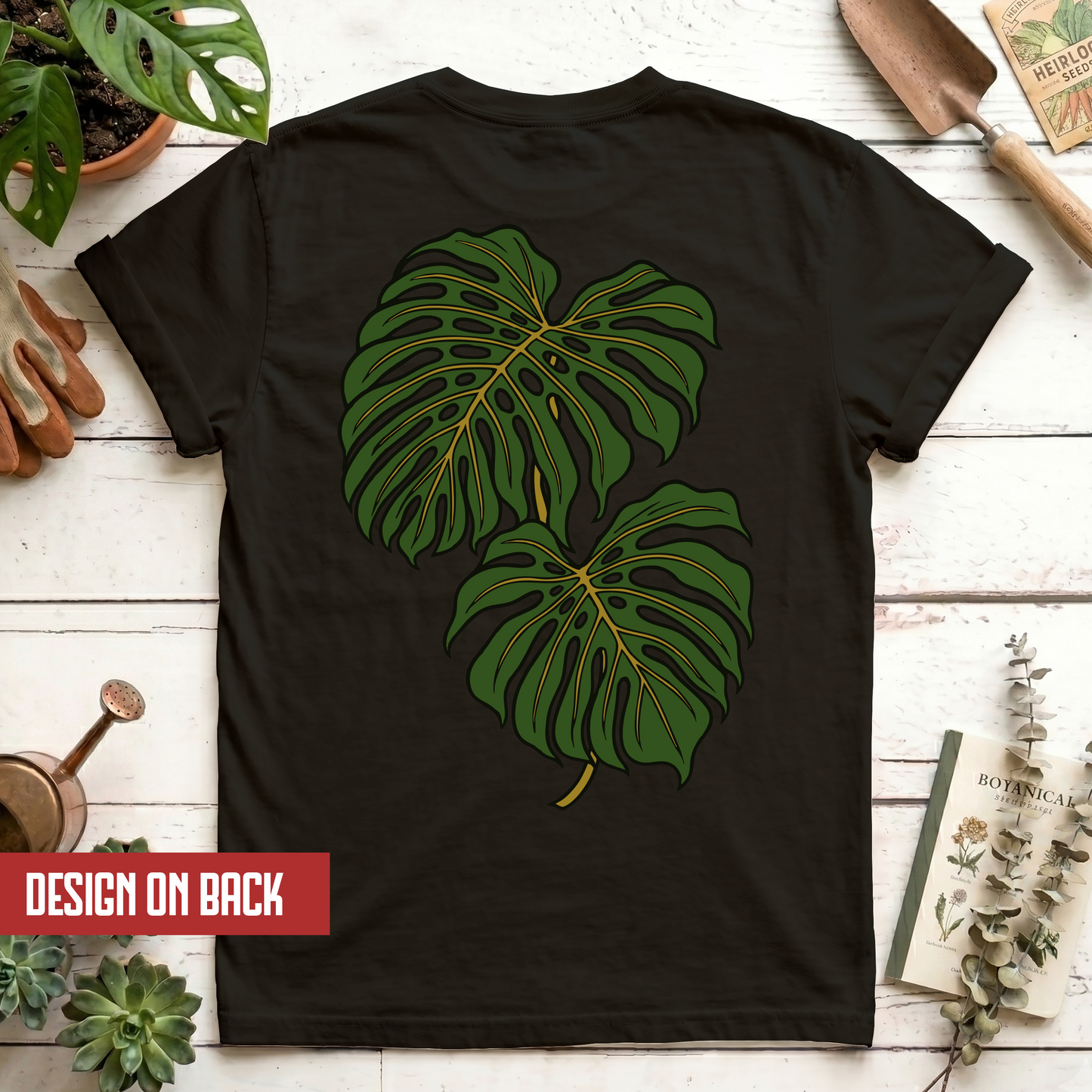 Monstera