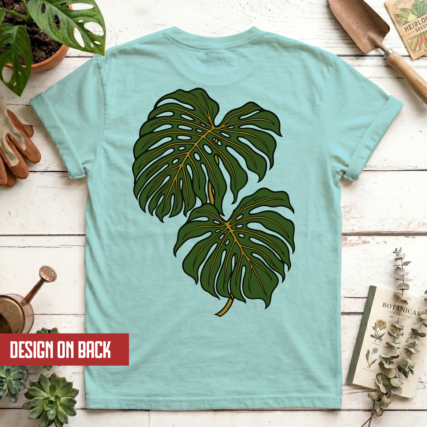 Monstera