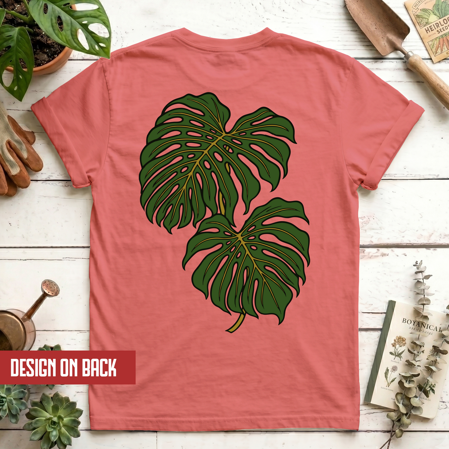 Monstera