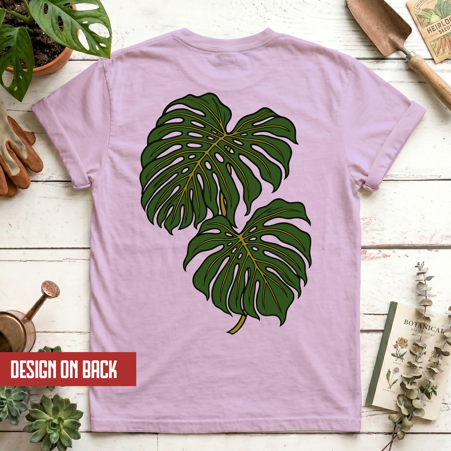Monstera