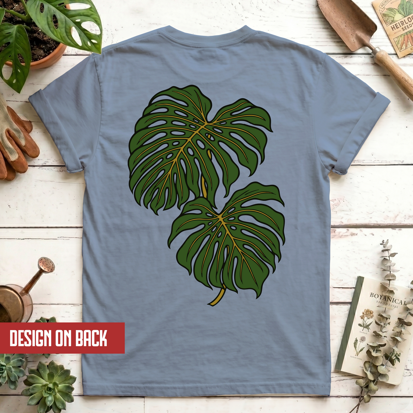 Monstera