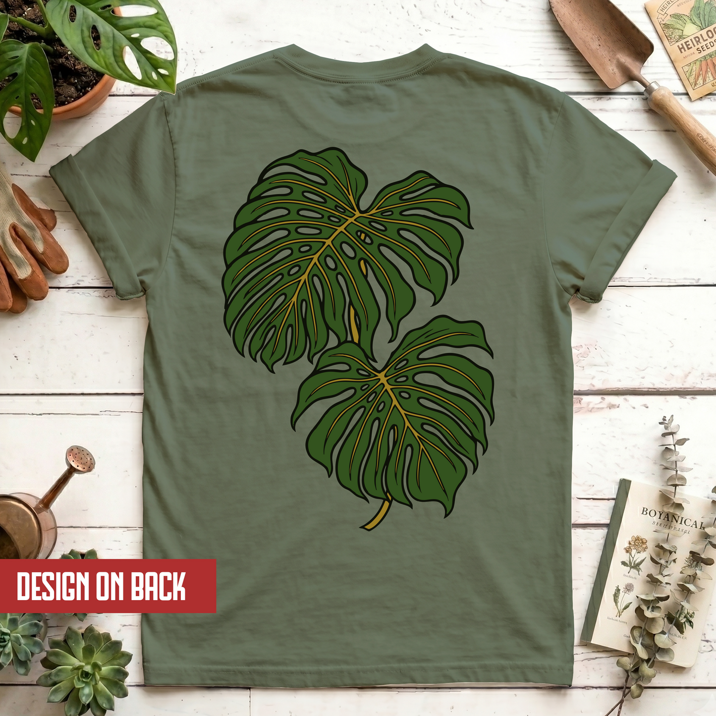 Monstera