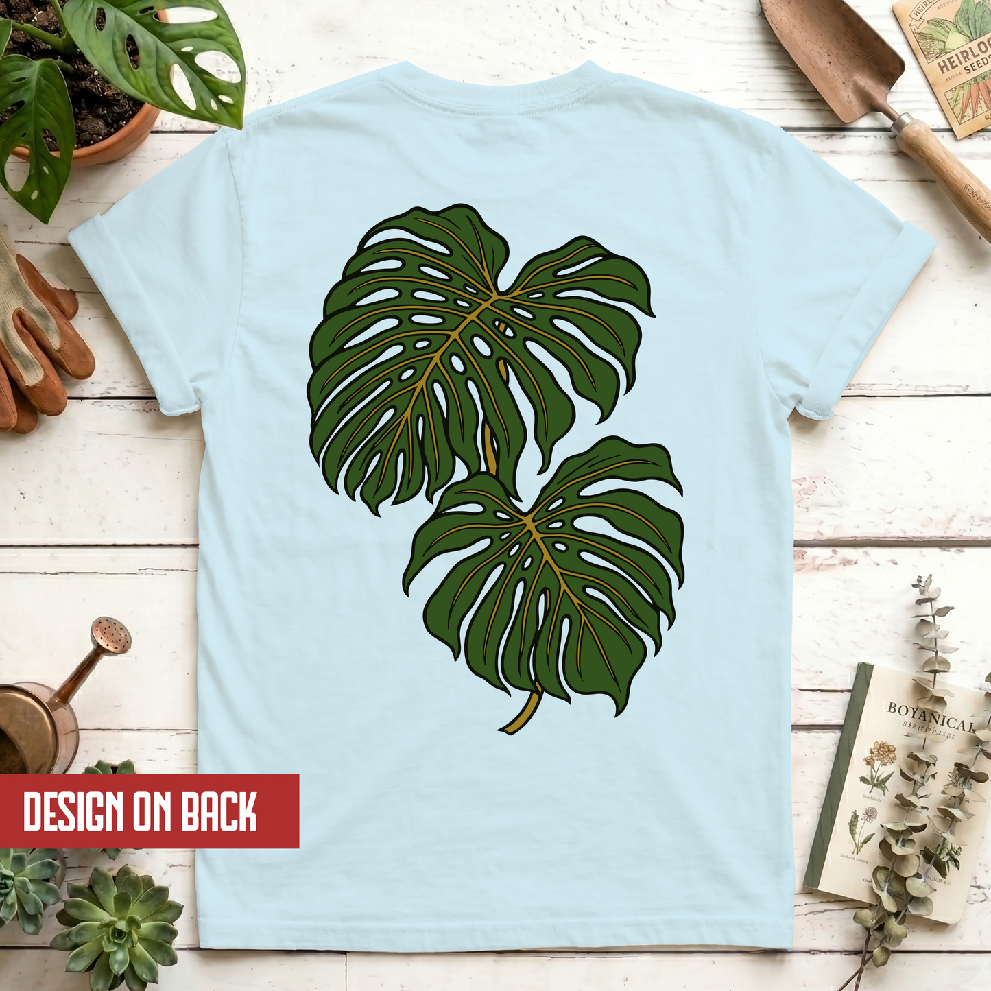Monstera