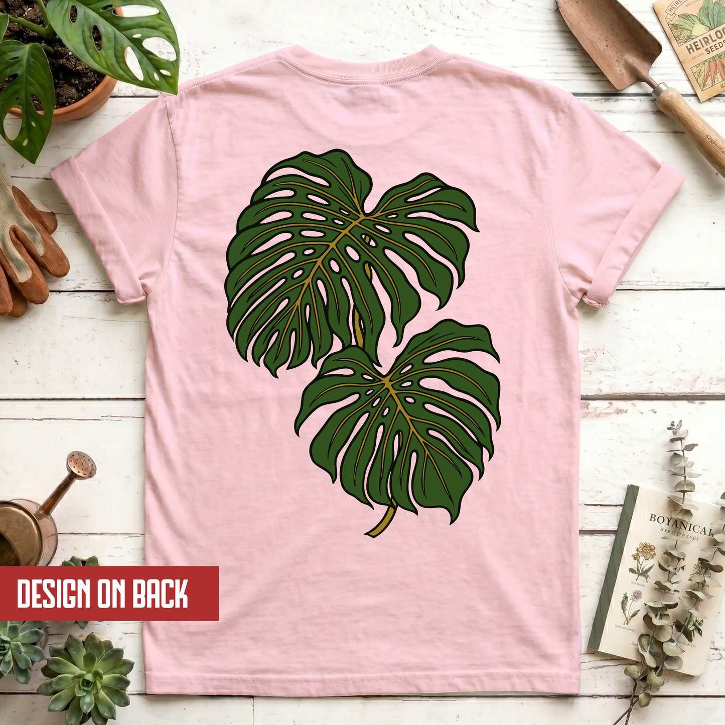 Monstera