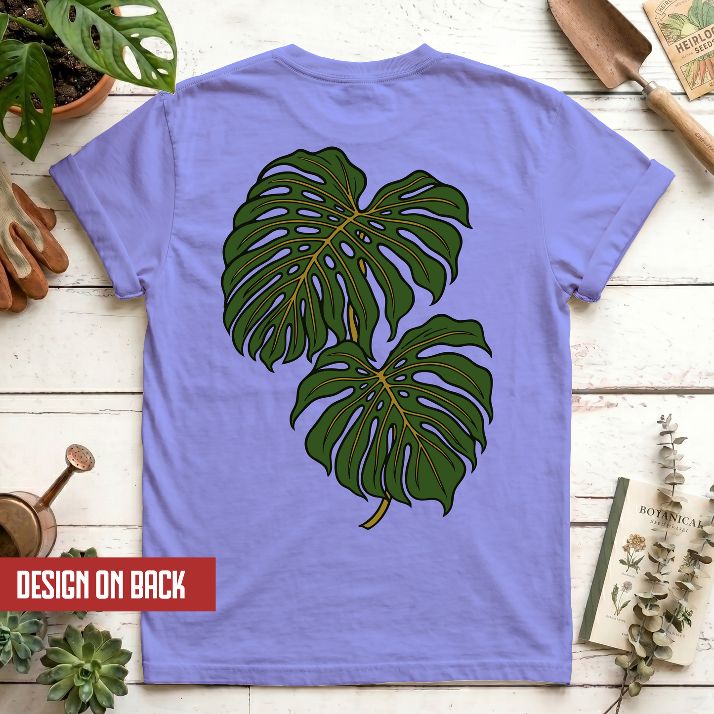 Monstera