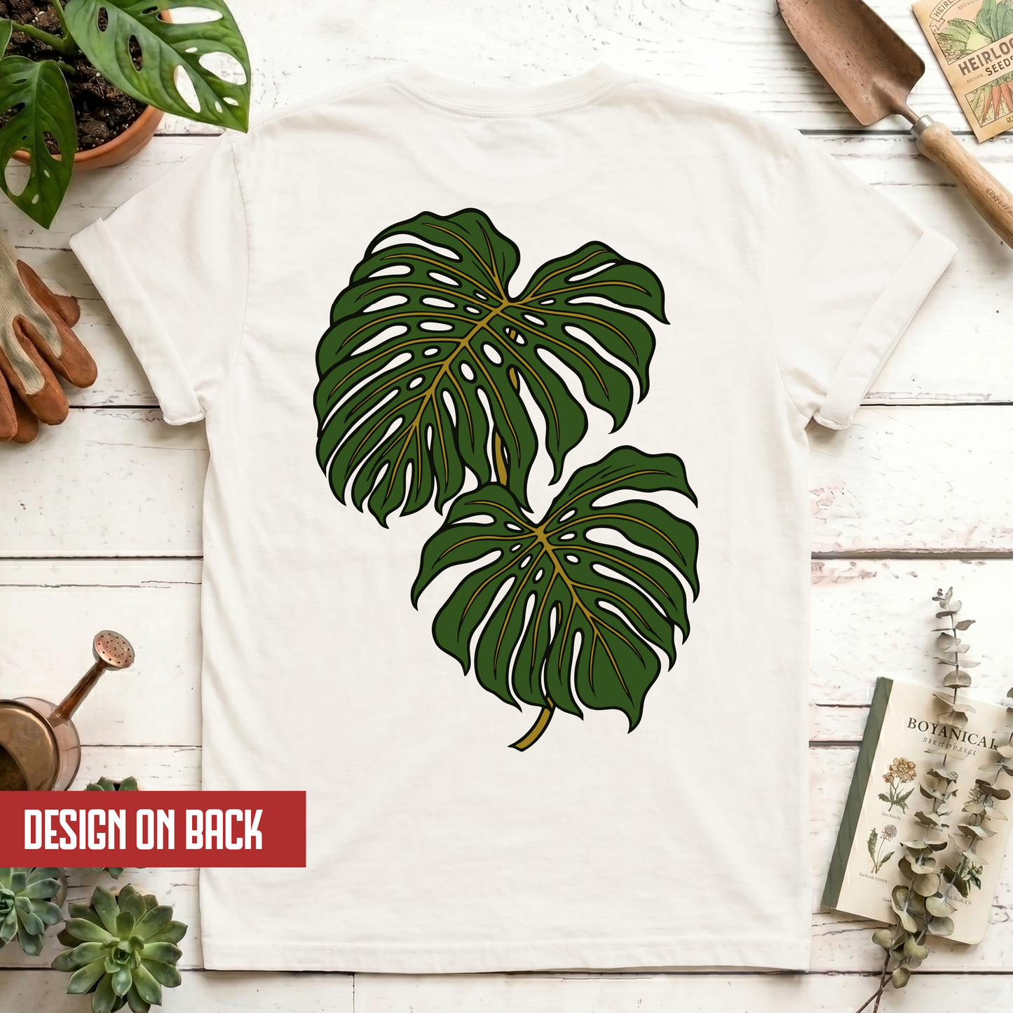 Monstera