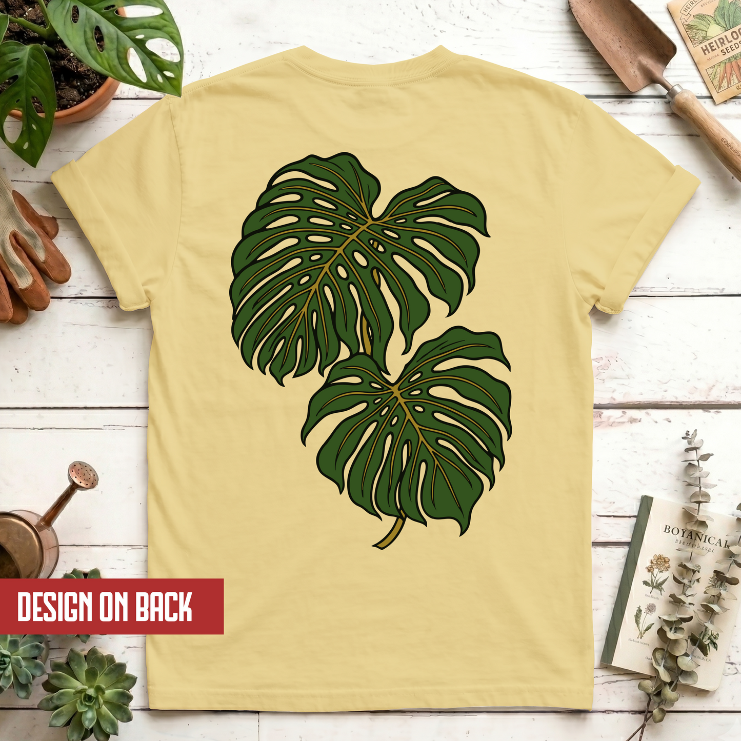 Monstera