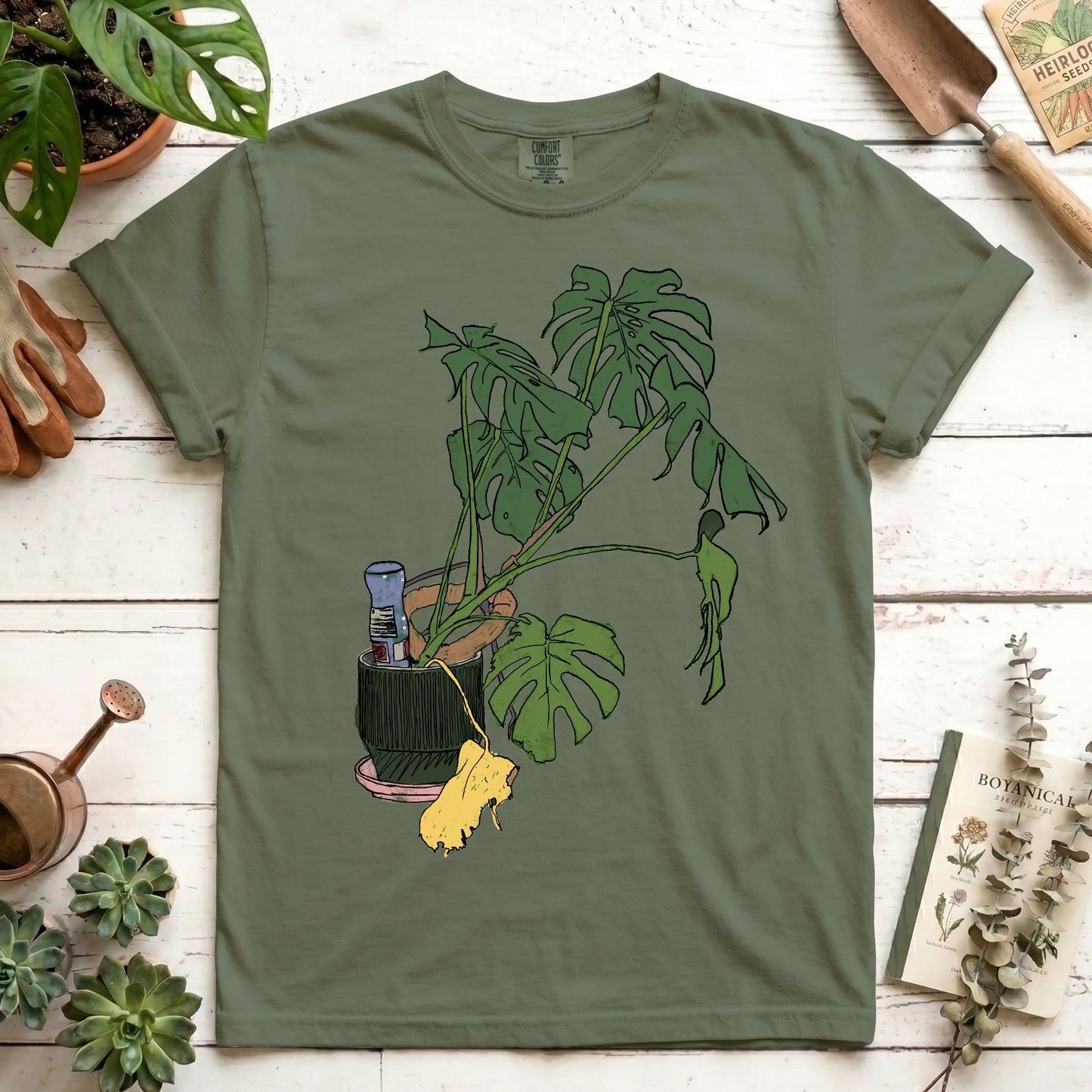 Monstera house plant