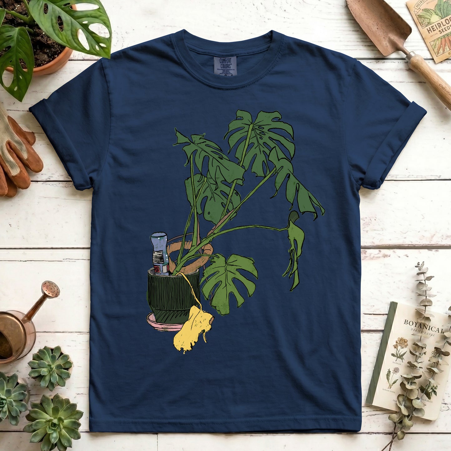 Monstera house plant