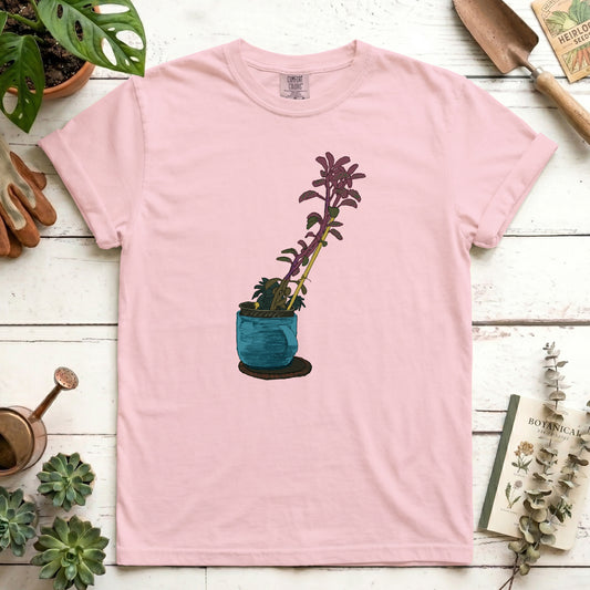 mug plant