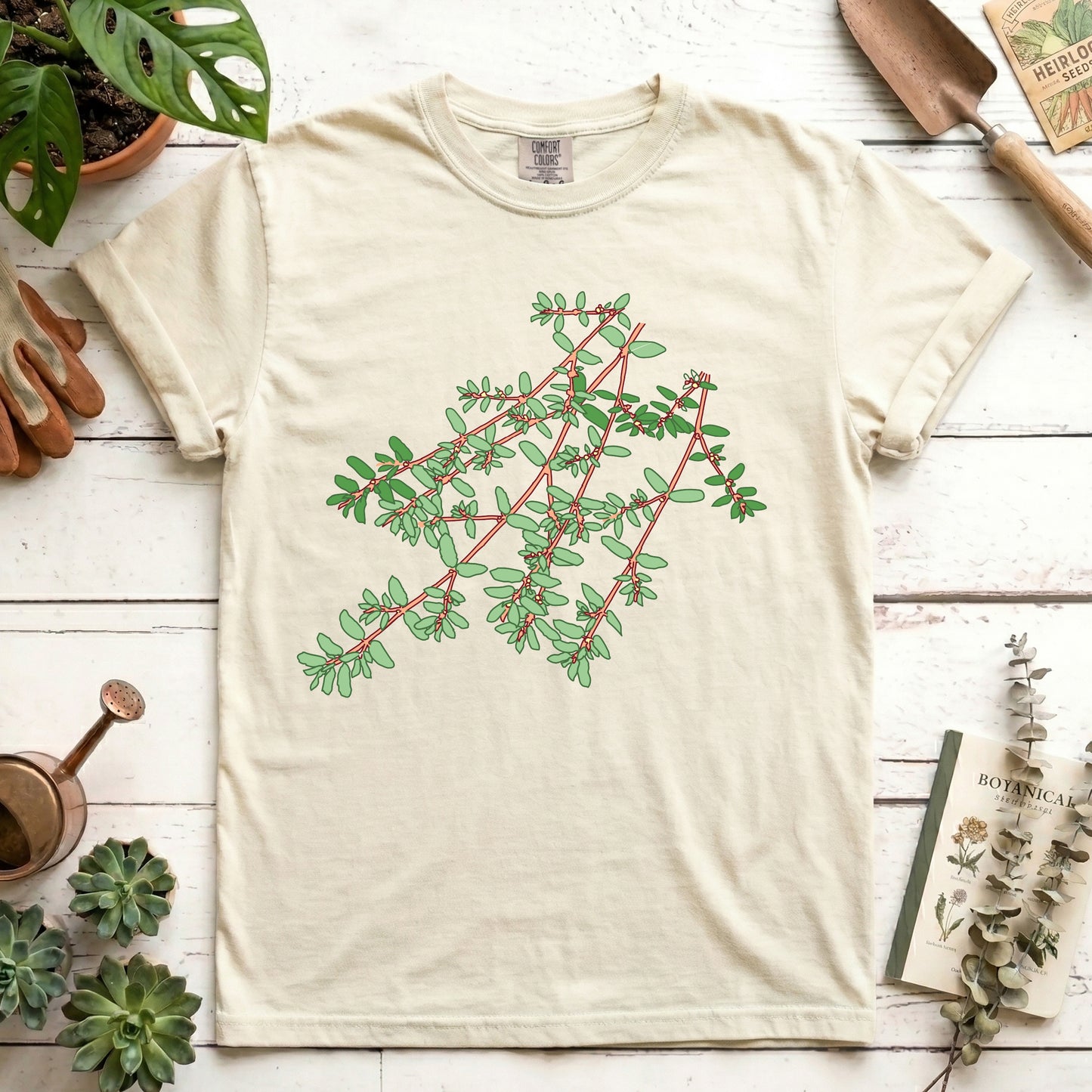 Spotted Spurge - Front