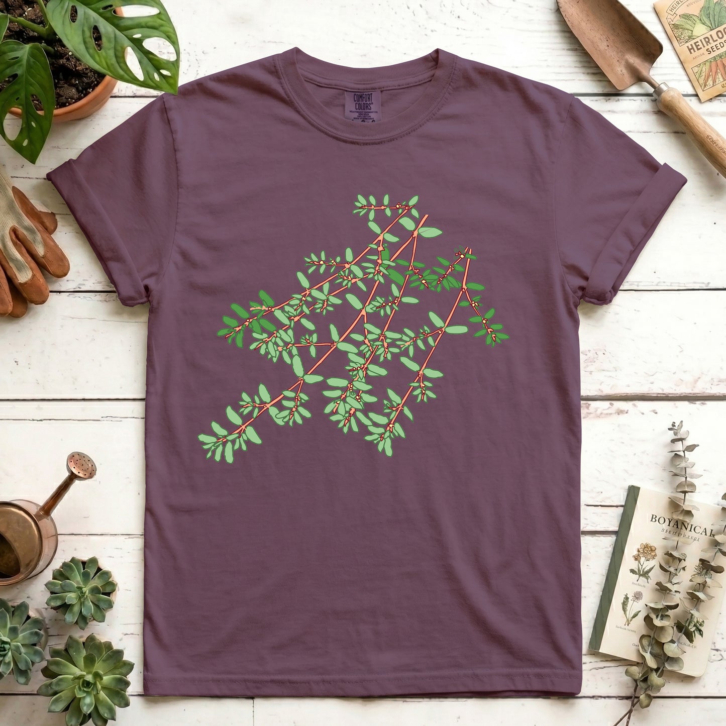 Spotted Spurge - Front
