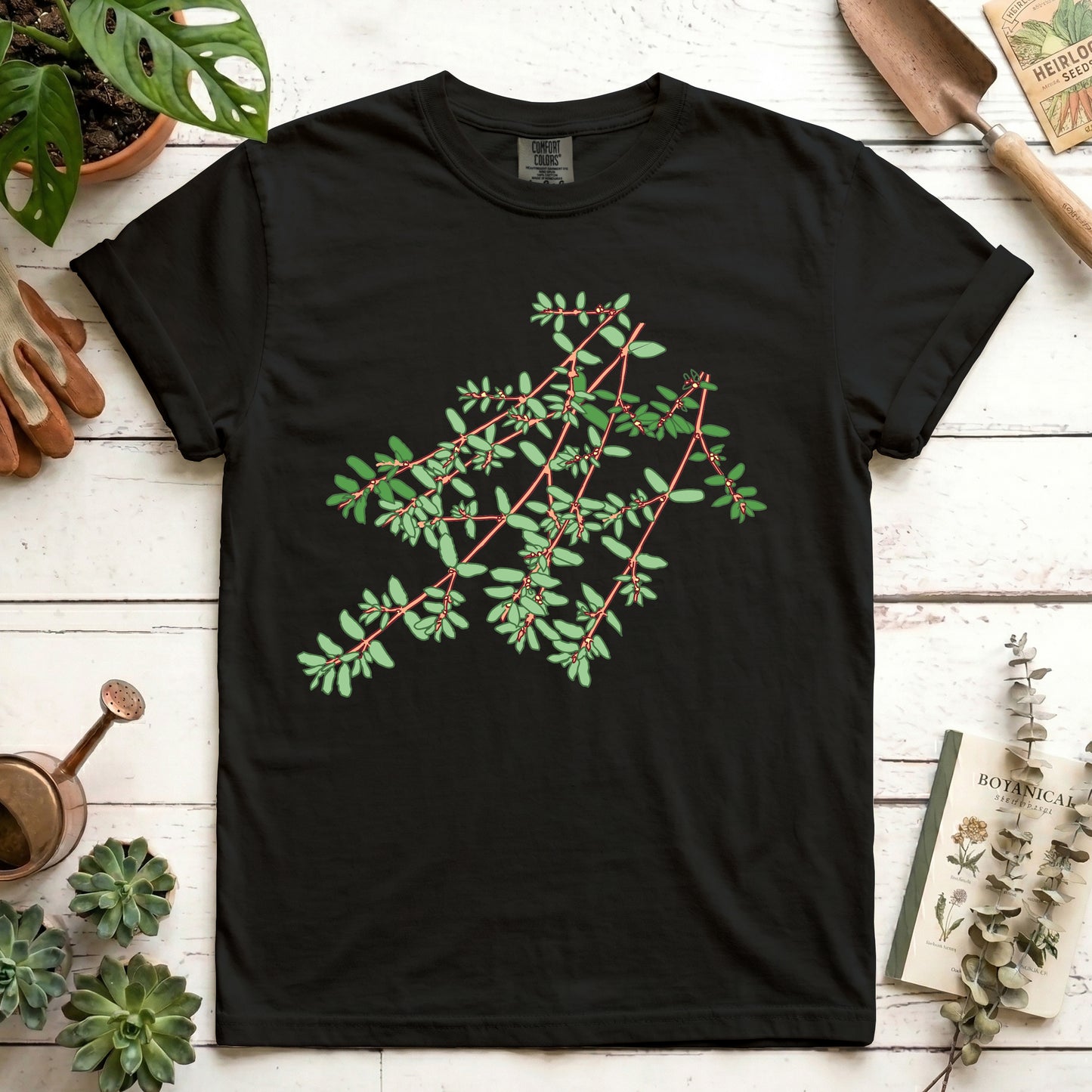 Spotted Spurge - Front
