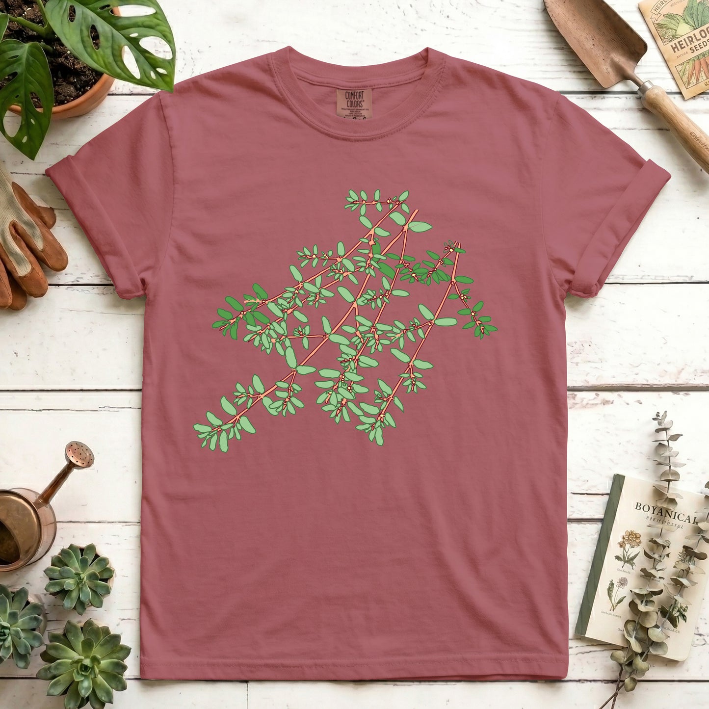 Spotted Spurge - Front