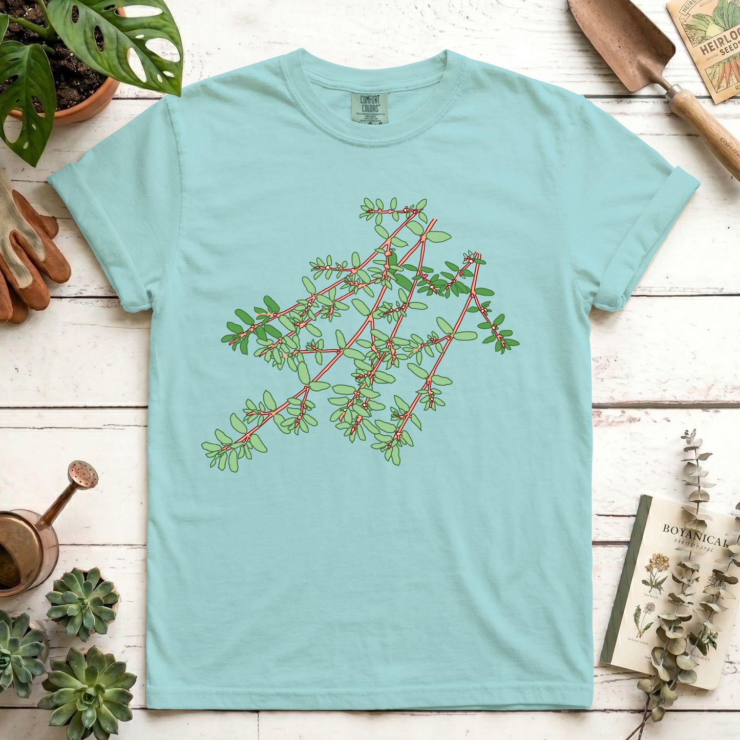 Spotted Spurge - Front