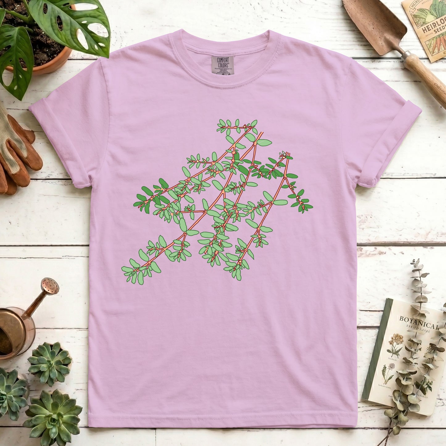 Spotted Spurge - Front