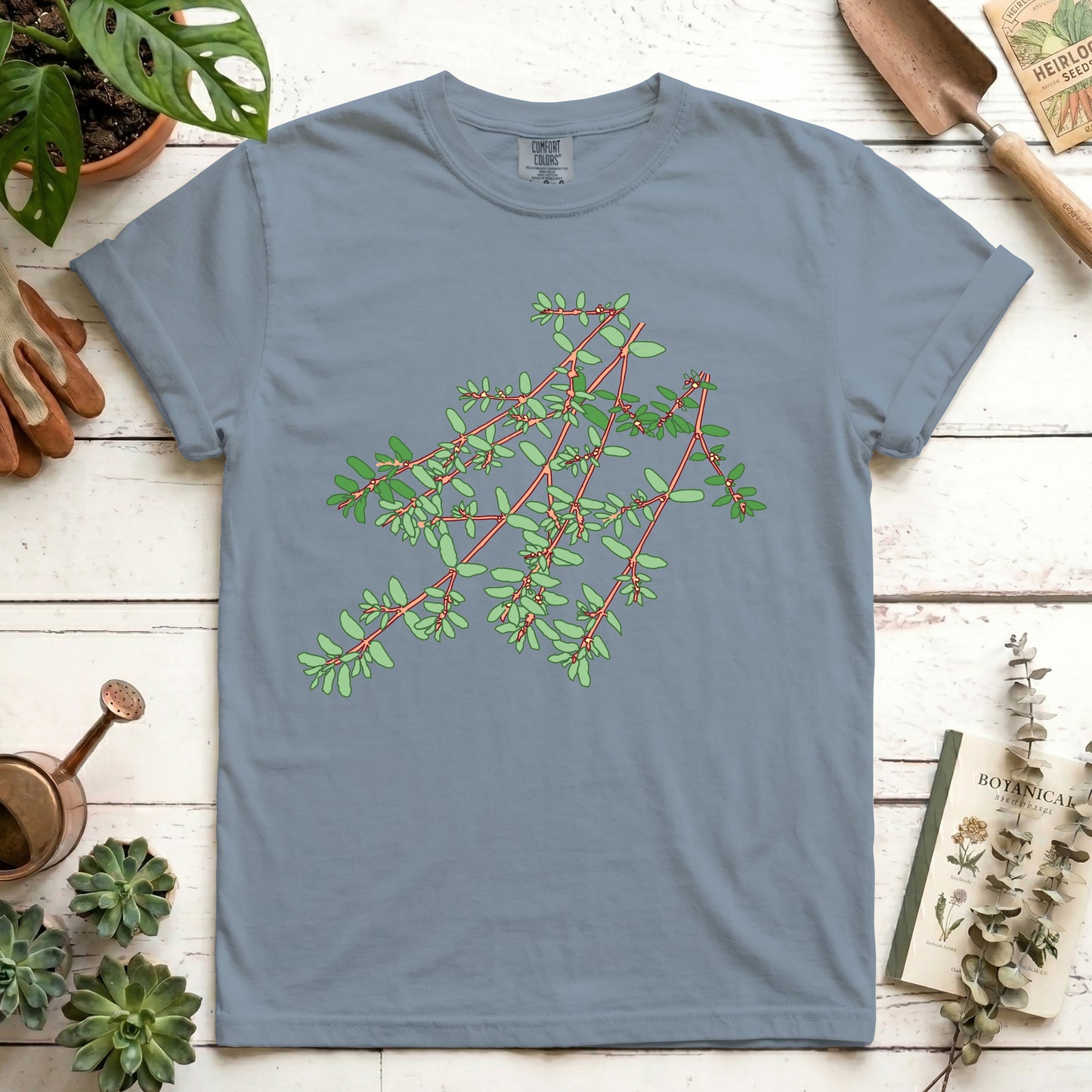 Spotted Spurge - Front