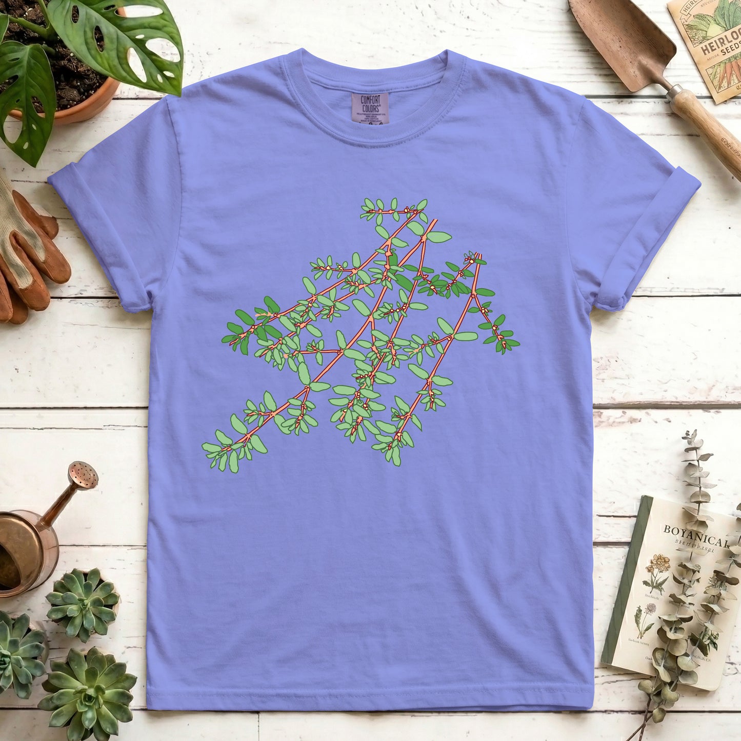 Spotted Spurge - Front