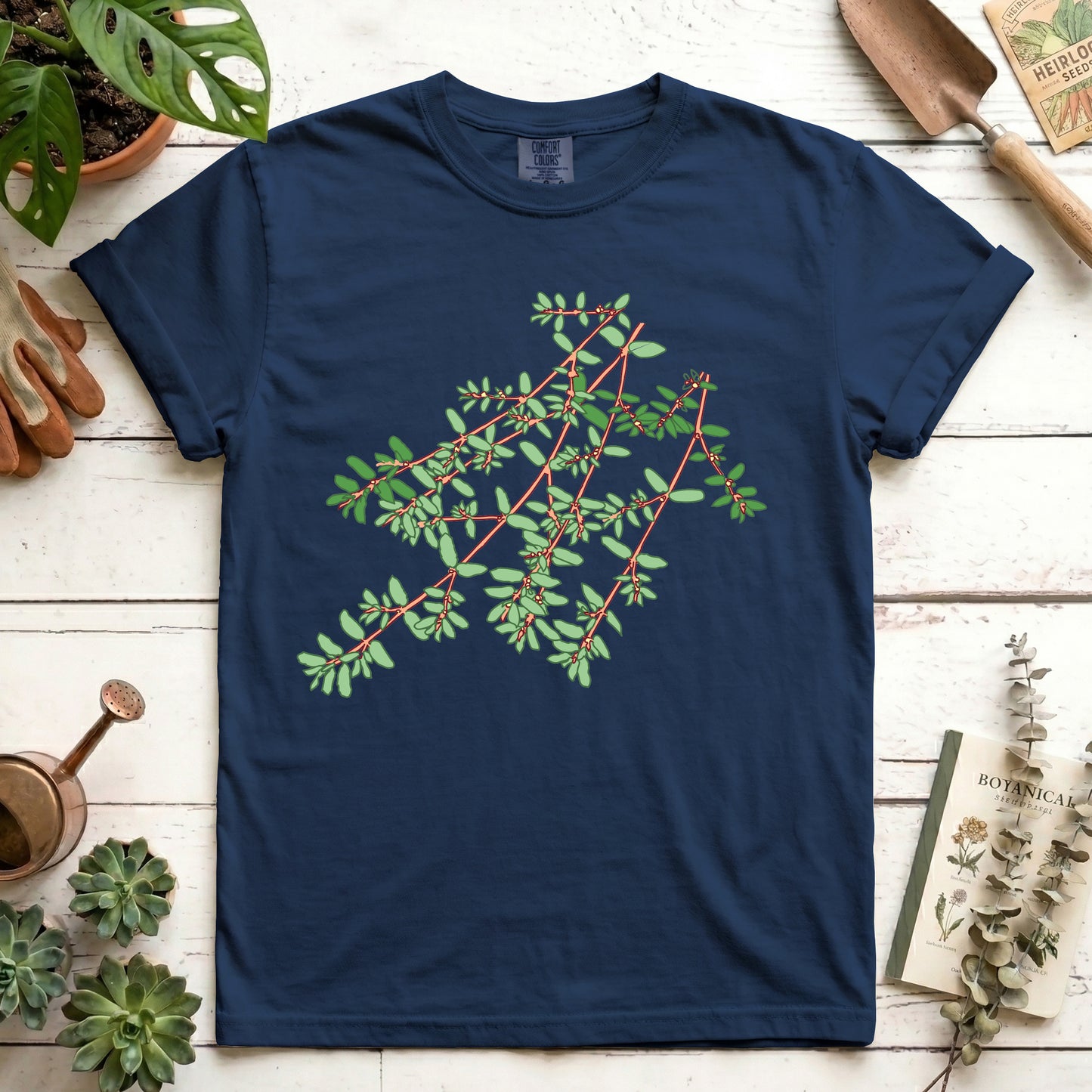 Spotted Spurge - Front