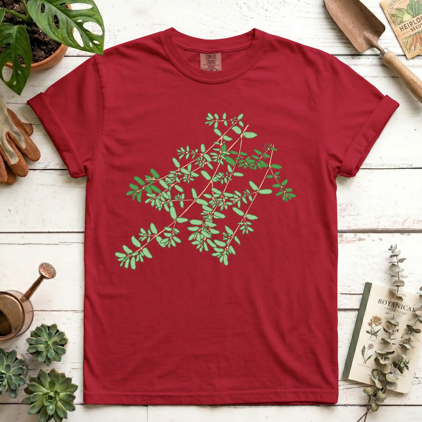 Spotted Spurge - Front