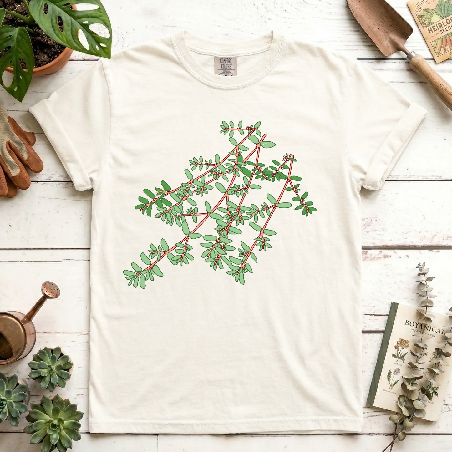 Spotted Spurge - Front