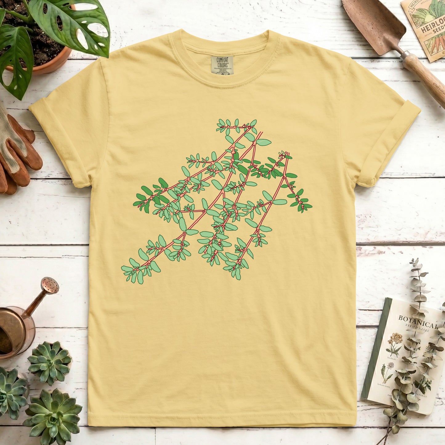 Spotted Spurge - Front